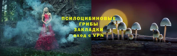 mix Алексеевка