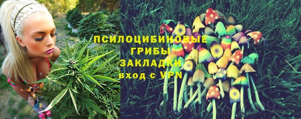 бошки Алексин