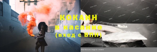 бошки Алексин