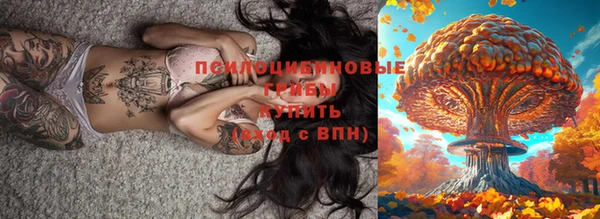 бошки Алексин
