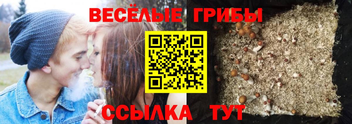 Хабаровск  Галлюциногенные грибы мухоморы  дарнет шоп  Псилоцибиновые грибы прущие грибы  Вход с VPN 